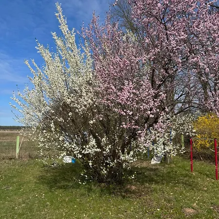 Homestay Gaestezimmer In Einfamilienhaus Mit Grossem Garten